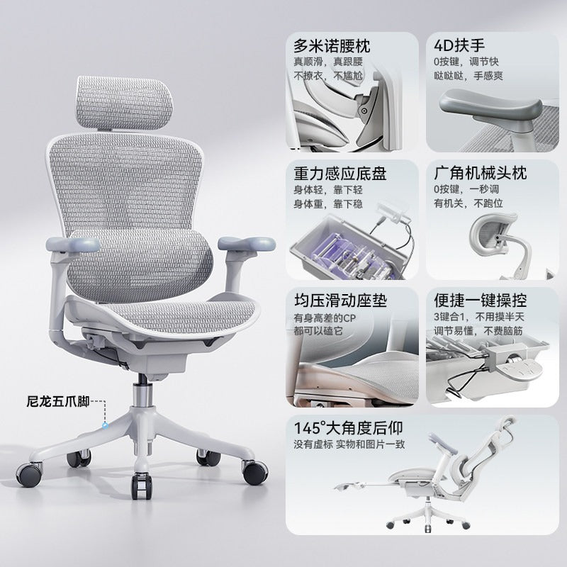 完整展示的 C100 人體工學椅