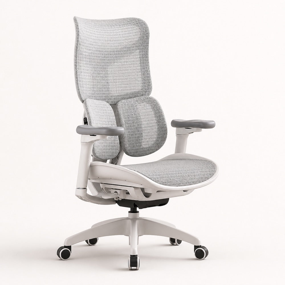 完整展示的 S100 人體工學椅