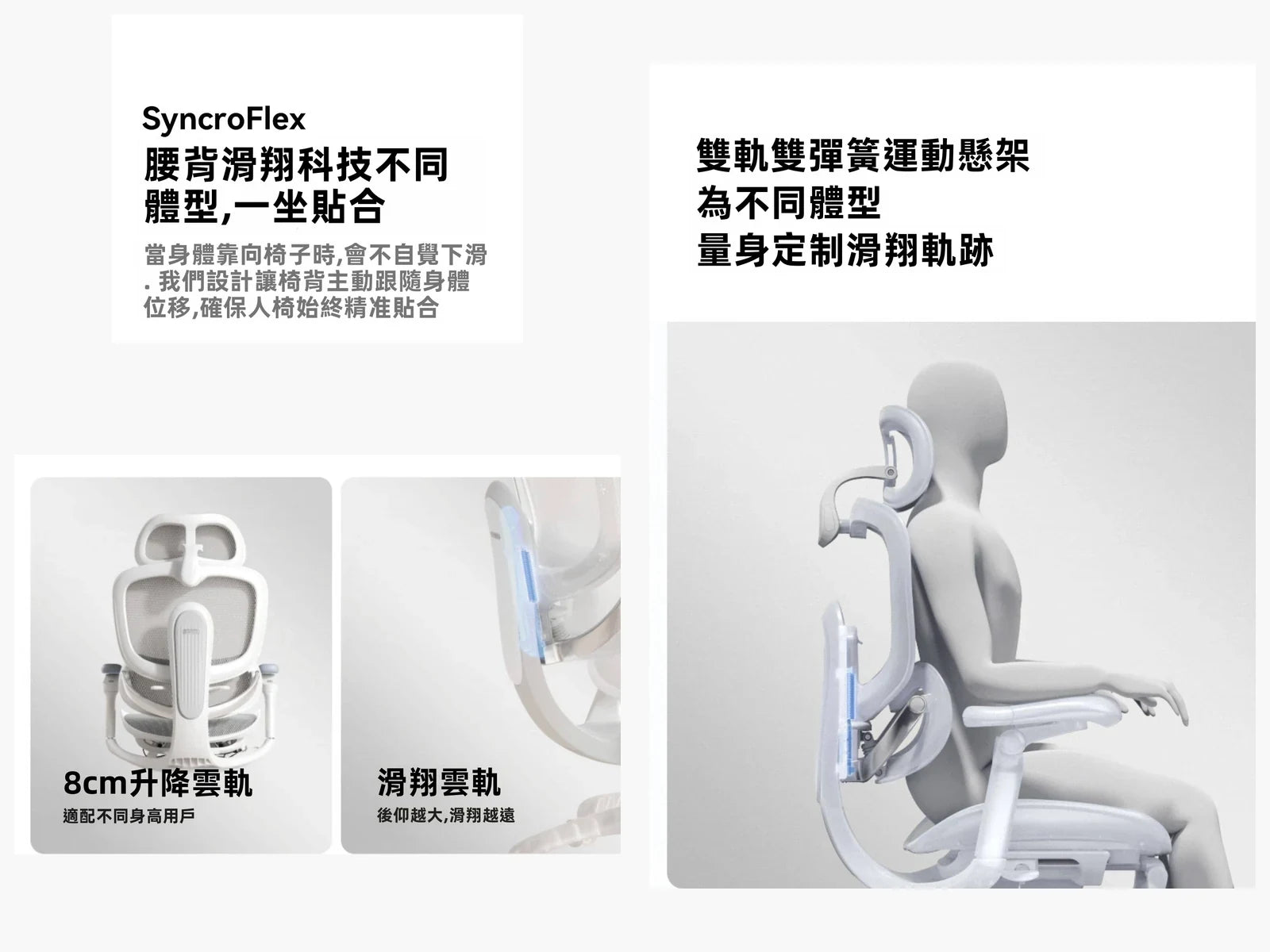 SyncroFlex 腰背滑翔